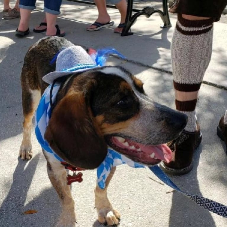 Bring Your Pup, Too!